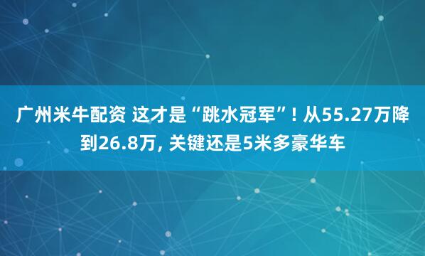 广州米牛配资 这才是“跳水冠军”! 从55.27万降到26.8万, 关键还是5米多豪华车