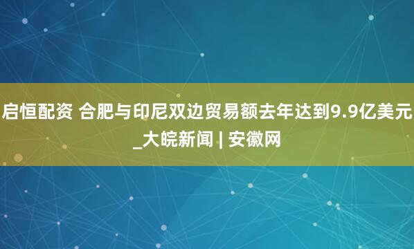 启恒配资 合肥与印尼双边贸易额去年达到9.9亿美元_大皖新闻 | 安徽网