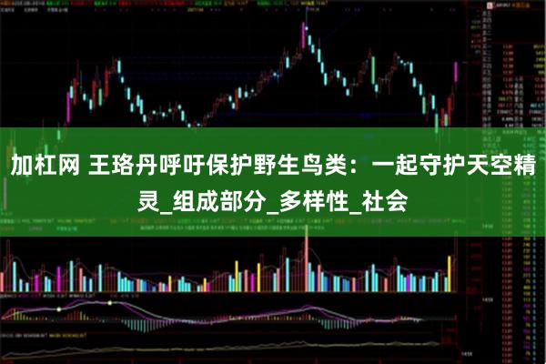 加杠网 王珞丹呼吁保护野生鸟类：一起守护天空精灵_组成部分_多样性_社会