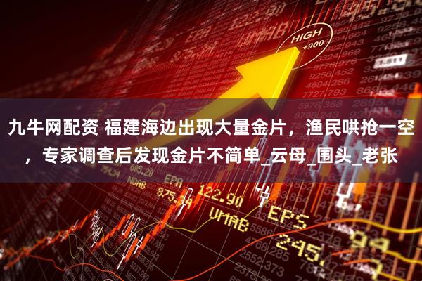 九牛网配资 福建海边出现大量金片，渔民哄抢一空，专家调查后发现金片不简单_云母_围头_老张